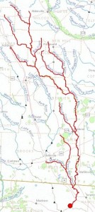 300x670 Alapaha River, Lakeland, Lanier County, GA, Jennings, Hamilton County, FL, in Streamer, by John S. Quarterman, for WWALS.net, 4 July 2014