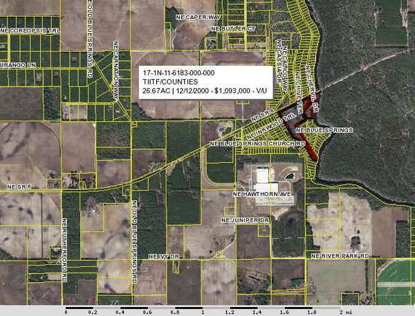 600x456 Madison Blue Springs Park, 17-1N-11-6183-000-000, in Madison Blue Springs, by John S. Quarterman, for WWALS.net, 20 August 2014