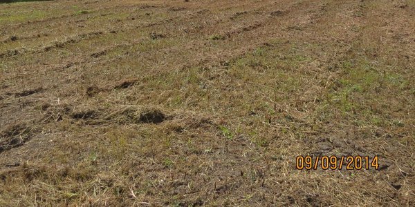 600x300 Along the proposed route (2 of 2), in FERC and Sabal Trail at the Withlacoochee River in Hamilton County, FL, by Chris Mericle, for WWALS.net, 16 September 2014