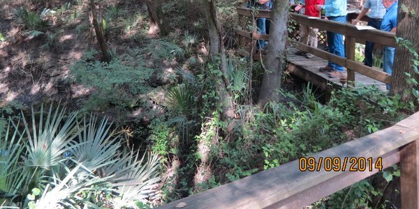600x300 Morgan Spring run overlook again (2 of 2), in FERC and Sabal Trail at the Withlacoochee River in Hamilton County, FL, by Chris Mericle, for WWALS.net, 16 September 2014