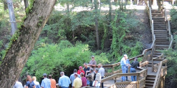 600x300 Morgan Spring overlook (1 of 2), in FERC and Sabal Trail at the Withlacoochee River in Hamilton County, FL, by Chris Mericle, for WWALS.net, 16 September 2014