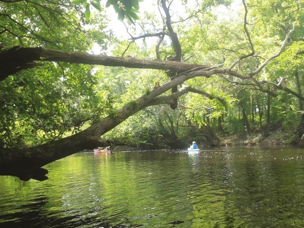 600x450 Withlacoochee River, in GWC DD#9: Sabal Trail pipeline threatens Withlacoochee River and Floridan Aquifer, by Georgia Water Coalition, for WWALS.net, 22 October 2014