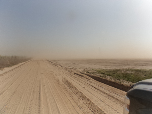 600x450 Dust right up to dirt road, in Dust Storm on Lakeland Sands land in Hamilton County, FL, by John S. Quarterman, for WWALS.net, 25 March 2014