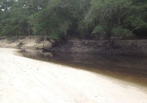 300x210 There is a long sandy beach upstream from the bridge, which is a popular summer hangout for locals., in GA 135 Alapaha River access, by Bret Wagenhorst, for WWALS.net, 14 September 2014