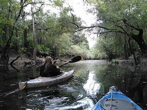 Idyllic river 30.8922405, -83.3192901
