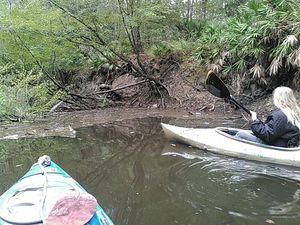 Another deadfall 30.8880958, -83.3233032