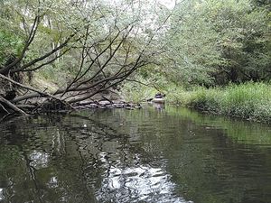 Not too hard to paddle around the end 30.8883571, -83.3230819