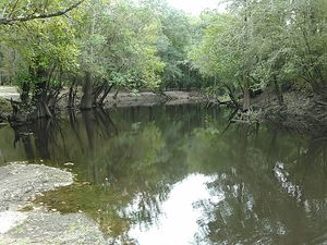 Looks better here 30.8875542, -83.3240433