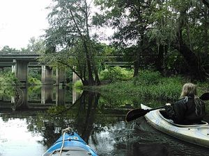 Coming back down 30.8930855, -83.3184128