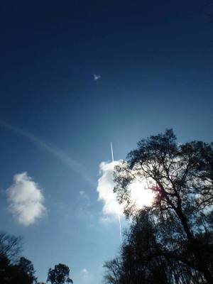 Glad to be on the river and not in that airplane