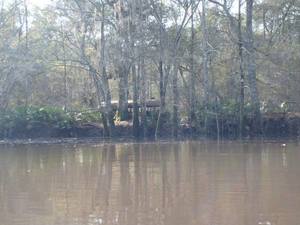 Abandoned school bus
