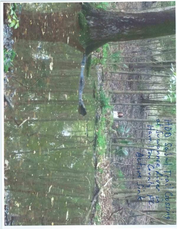 Figure 5: Active sink 2, Sabal Trail HDD, Suwannee River, Hamilton Co.