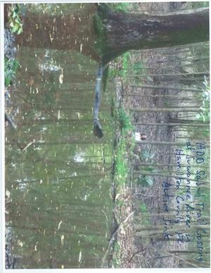 Figure 5: Active sink 2, Sabal Trail HDD, Suwannee River, Hamilton Co.