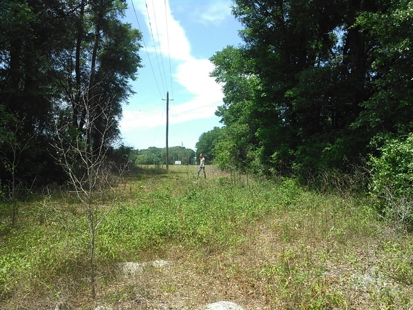 Looking from sinkhole to Debra standing on Sabal Trail path