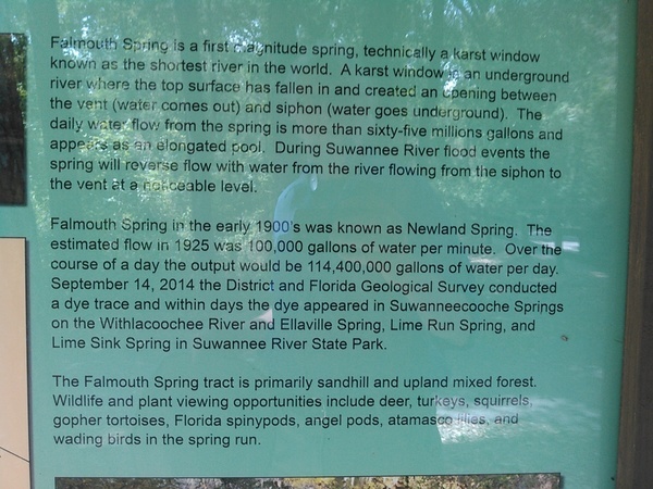Falmouth Dye Test