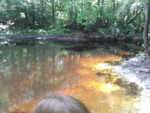 Tea-colored tannic water 30.3614406, -83.1350479