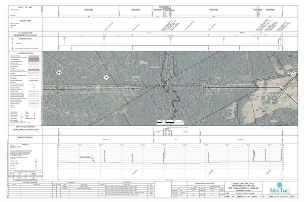 Ochlockonee River HDD, Colquitt Co., GA