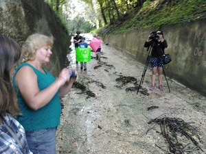 Noelani Mathews WCTV on air and more still coming in
