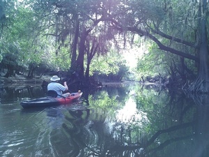 Phil under the oaks
