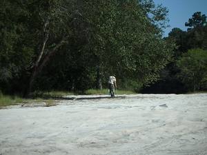 Cleaning up Berrien Beach