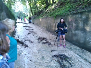 Noelani Mathews WCTV sets up