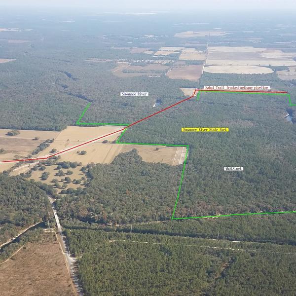 Sabal Trail through Suwannee River State Park