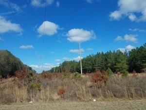 Power line, previous pipeline route, 30.3922995, -83.1969598