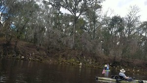 Suwannee County (left) bank, Suwannee River, Sabal Trail crossing, 30.4068650, -83.1559890