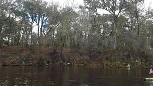 Movie: Suwannee River at Sabal Trail crossing (13M), 30.4075790, -83.1559250