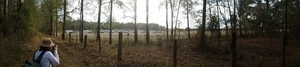 Panorama, Sabal Trail pipe going into ground, Hamilton County, 30.4113889, -83.1652778