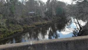 Movie: Withlacoochee River downstream, CR 141 (12M)