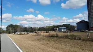 Movie: CR 141 Sabal Trail access with many LEO (36M)