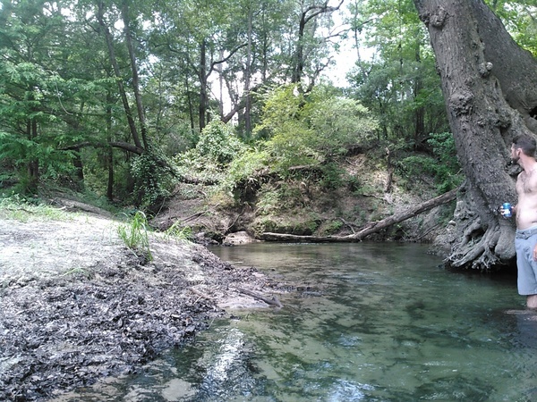 Up into Arnold Springs