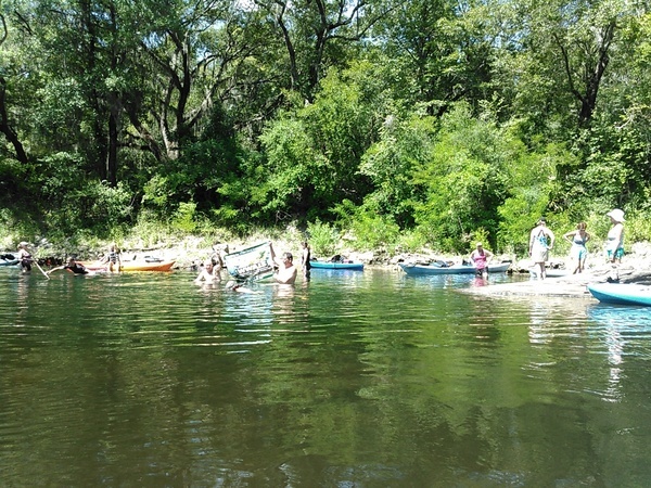 WWALS banner at McIntyre Spring