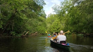 Line of paddlers 31.1895024, -83.5258233