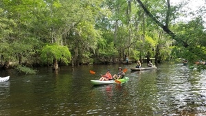Count them in 31.1924644, -83.5218527