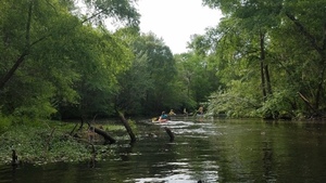 Winding Little River 31.1909413, -83.5262079