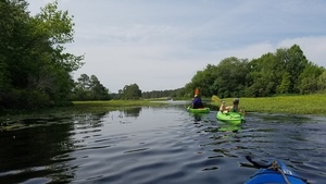 On the lake 31.1687695, -83.5453452