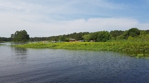 Finish in sight 31.1679012, -83.5454809
