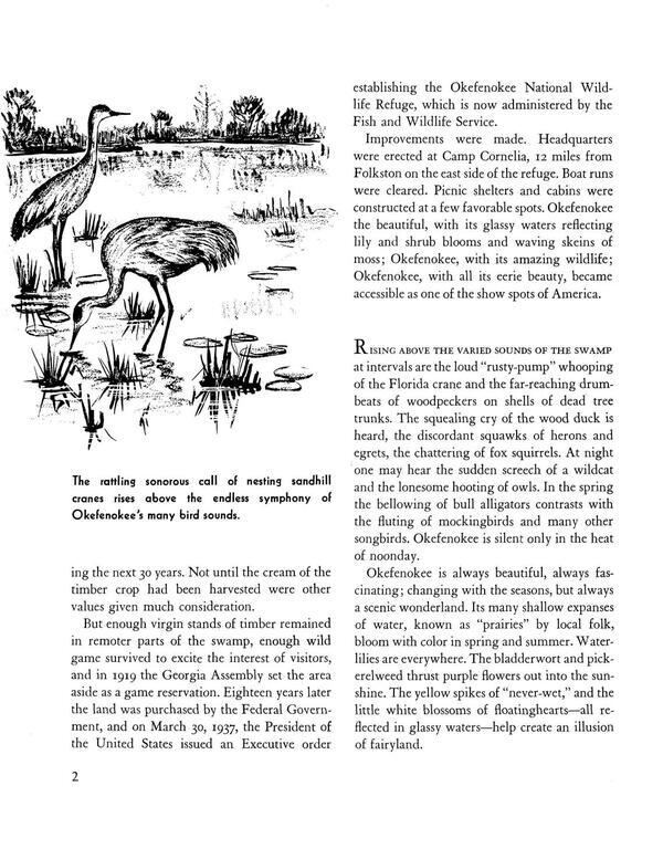 The rattling sonorous call of nesting sandhill cranes rises above the endless symphony of Okefenokee’s many bird sounds.