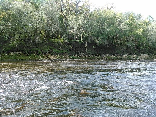 [White water 30.5529365, -83.2608795]
