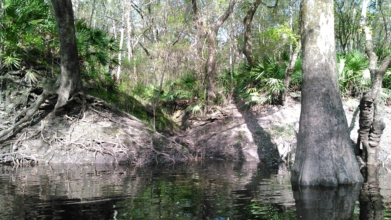 Unnamed tiny creek 30.9325313, -83.2899856