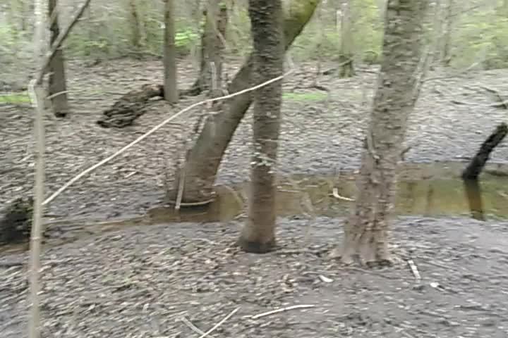 Movie: Under the Staten Road Bridge (1.9M)