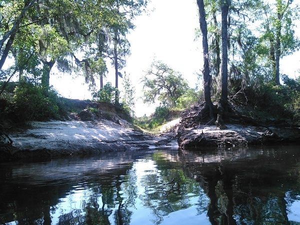 Runoff, 11:04:06, 30.89994, -83.02093