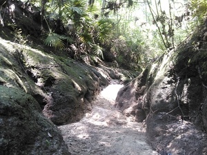 [Pouring down, 13:54:06, 30.8474026, -83.0120544]