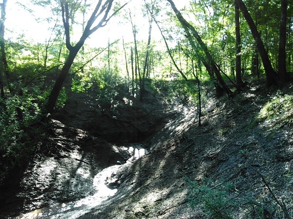 Small sinkhole