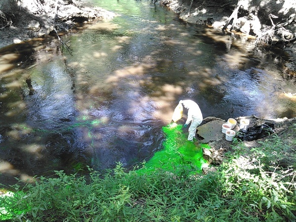 [Dye in the water]