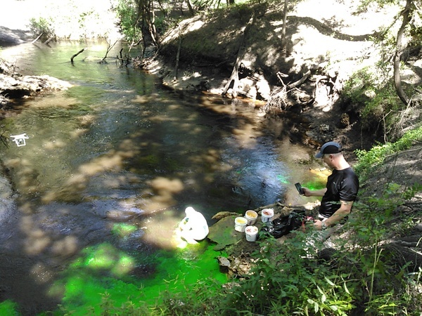 [Dye spreading]
