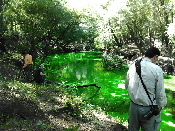 [Dyed Dead River]