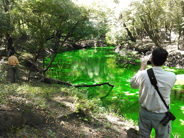 Dense dye